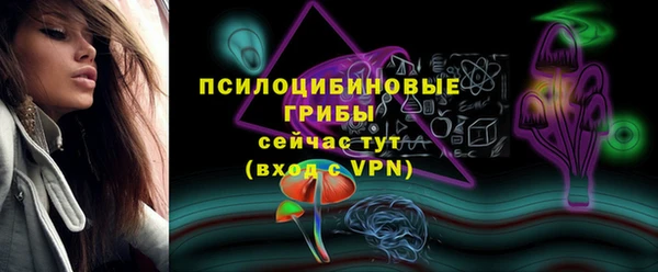 a pvp Инта