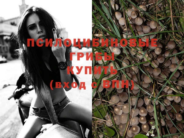 хмурый Саяногорск