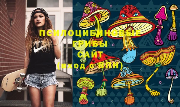 сатива Иннополис